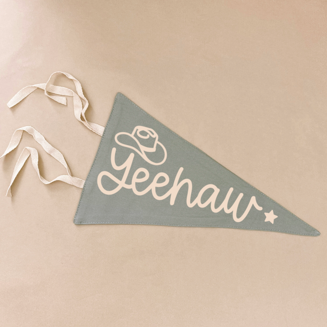 Kids western pennant flag. Kids yeehaw wall flag. Kids rodeo bedroom wall banner. Kids desert playroom flag banner. Kids cowboy playroom wall flag. Kids cowgirl bedroom styling. Kids western bedroom wall decor. Kids cowboy bedroom inspo. Kids bedroom decor ideas. 7 year old bedroom ideas. 10 year old bedroom ideas. 12 year old bedroom ideas.
