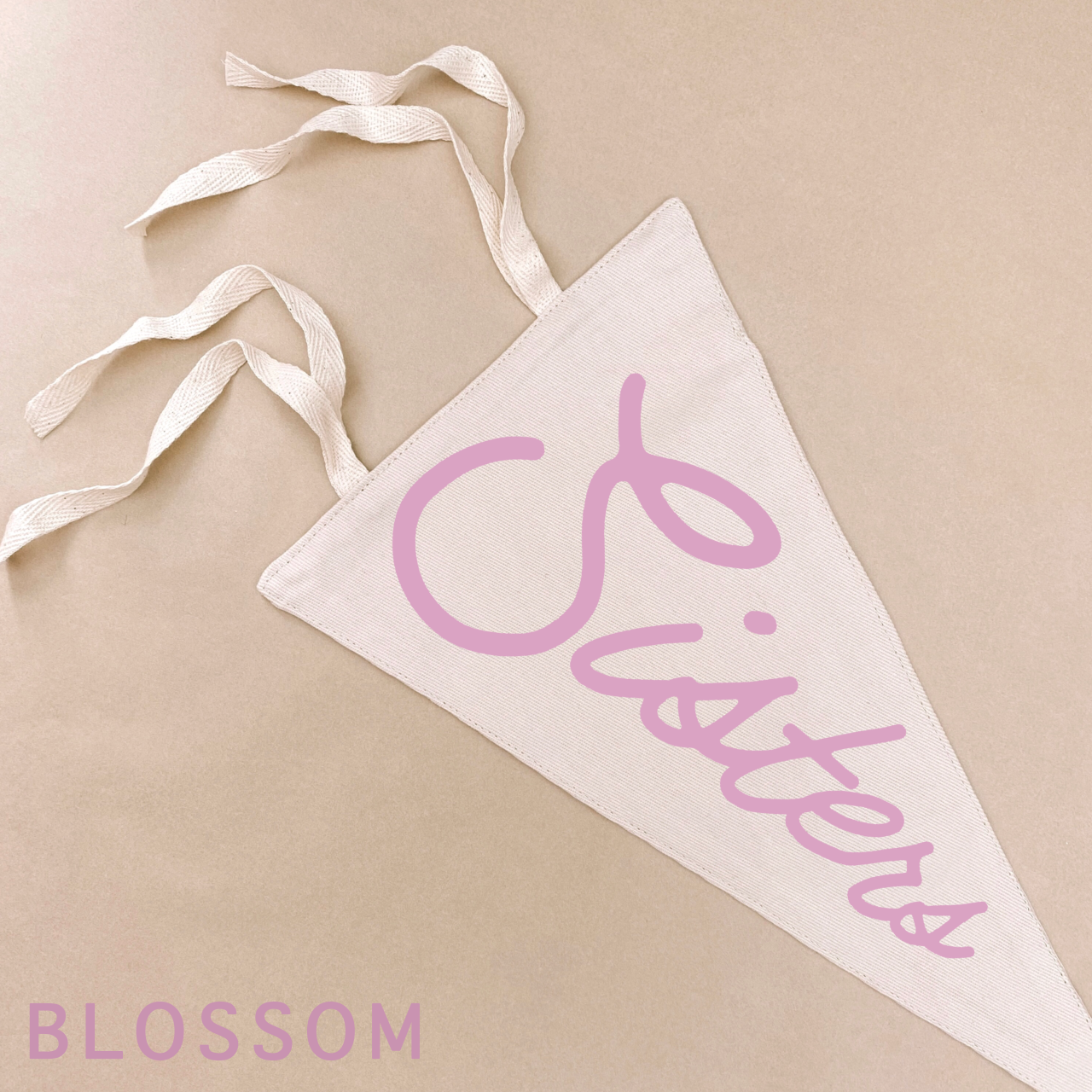 sisters pennant flag. girls bedroom styling. girls shared bedroom wall decor. sisters bedroom wall banner. sisters wall flag banner. shared girls bedroom inspo. sisters bedroom decor ideas. sisters bedroom decor. sisters flag. sisters nursery room inspo. sisters pennant flag.