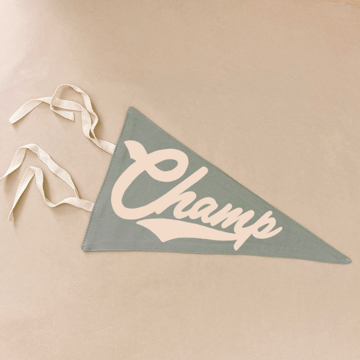 Champ pennant flag. Kids tie up pennant. Vintage sports wall flag. Boys wall hanging. Boys sports bedroom decor. Kids college sports wall flag. Kids rental friendly decor. Boys bedroom inspo. Playroom wall banner. Sports room styling. Kids bedroom decor ideas. Court side inspired decor.