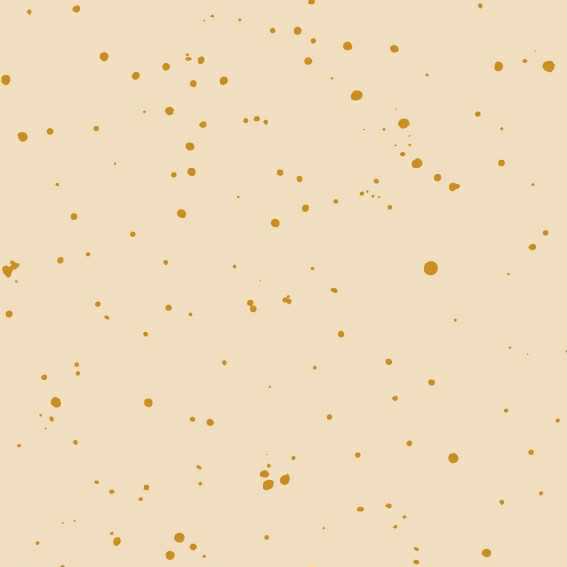 ACRYLIC PRINT - Certified Silly Goose | Multiple Colour Options