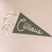 stay curious pennant flag. boys bedroom styling. boys bedroom wall decor. boys bedroom wall banner. stay curious boys wall flag banner. Boys bedroom inspo. boys bedroom decor ideas. boys bedroom decor. stay curious flag. boys nursery room inspo. stay curious pennant flag.