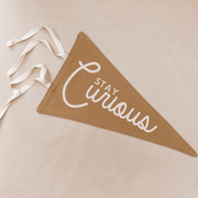 stay curious pennant flag. boys bedroom styling. boys bedroom wall decor. boys bedroom wall banner. stay curious boys wall flag banner. Boys bedroom inspo. boys bedroom decor ideas. boys bedroom decor. stay curious flag. boys nursery room inspo. stay curious pennant flag.