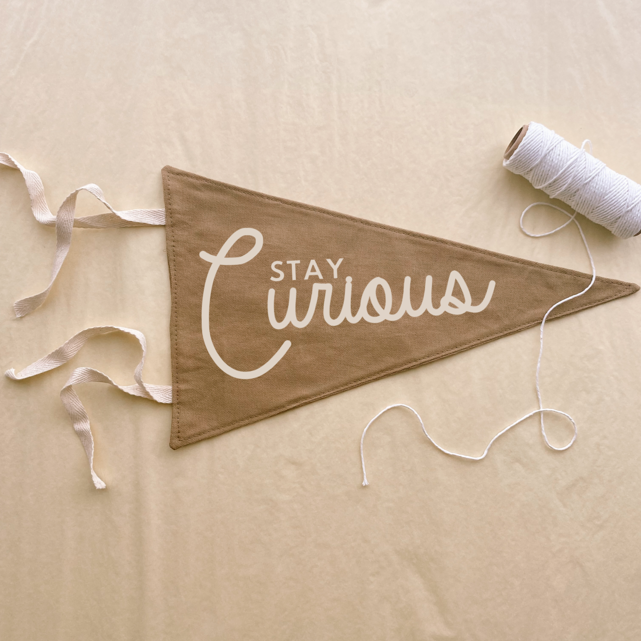 Stay curious tie up pennant flag / wall hanging