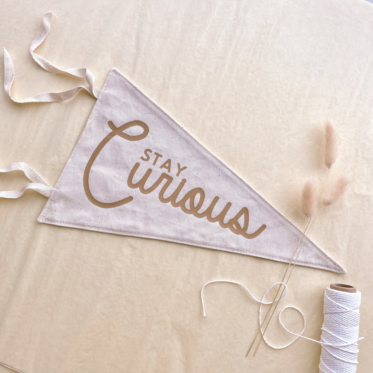 Stay curious tie up pennant flag / wall hanging