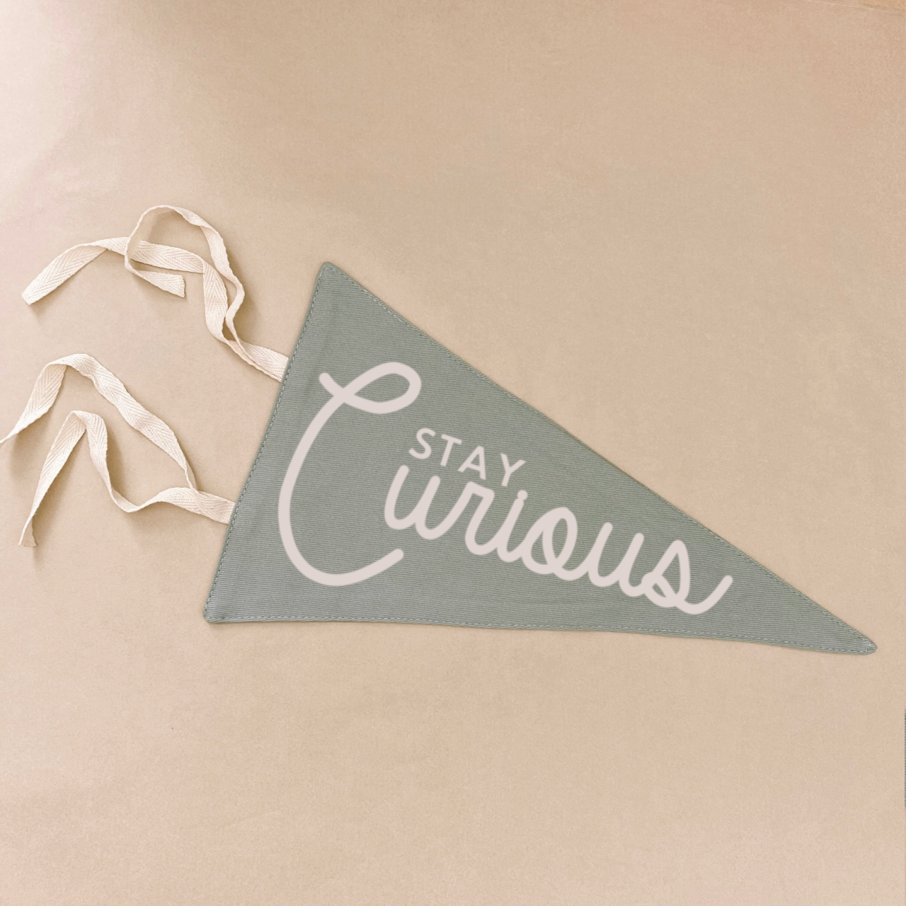 Stay curious tie up pennant flag / wall hanging