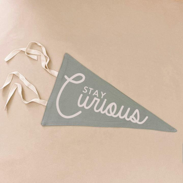 stay curious pennant flag. boys bedroom styling. boys bedroom wall decor. boys bedroom wall banner. stay curious boys wall flag banner. Boys bedroom inspo. boys bedroom decor ideas. boys bedroom decor. stay curious flag. boys nursery room inspo. stay curious pennant flag.