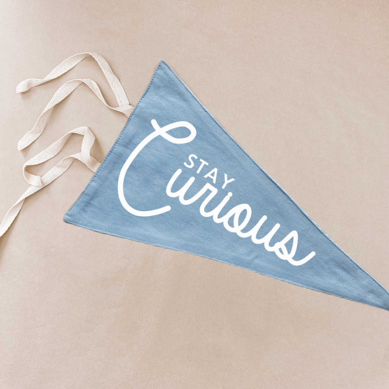 Stay curious tie up pennant flag / wall hanging