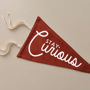 Stay curious tie up pennant flag | wall hanging