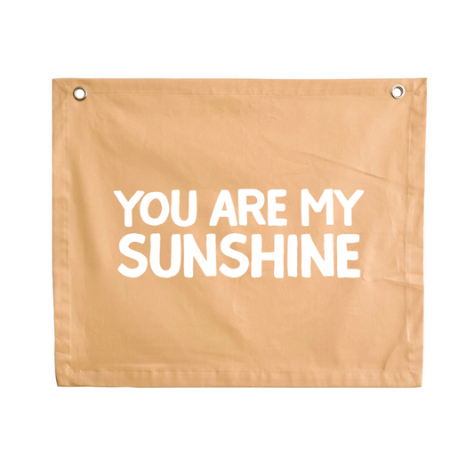 You are my sunshine kids wall banner / wall decor ~ Honey