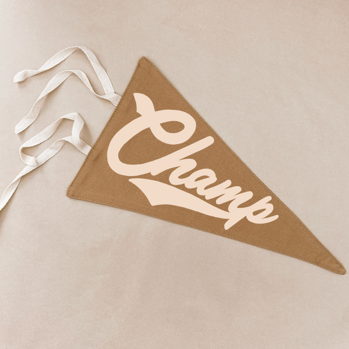 Champ pennant flag. Kids tie up pennant. Vintage sports wall flag. Boys wall hanging. Boys sports bedroom decor. Kids college sports wall flag. Kids rental friendly decor. Boys bedroom inspo. Playroom wall banner. Sports room styling. Kids bedroom decor ideas. Court side inspired decor.