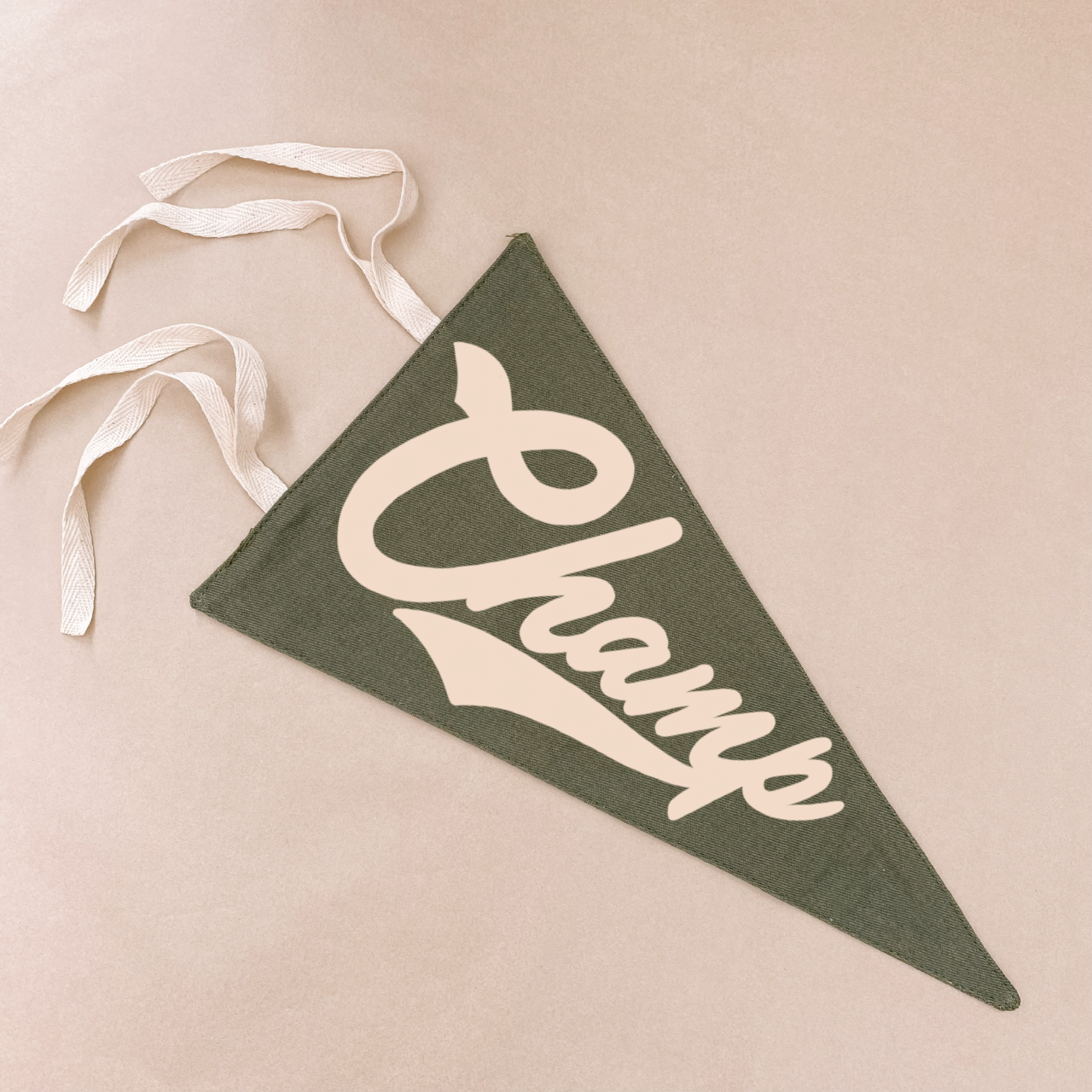 Champ pennant flag. Kids tie up pennant. Vintage sports wall flag. Boys wall hanging. Boys sports bedroom decor. Kids college sports wall flag. Kids rental friendly decor. Boys bedroom inspo. Playroom wall banner. Sports room styling. Kids bedroom decor ideas. Court side inspired decor.