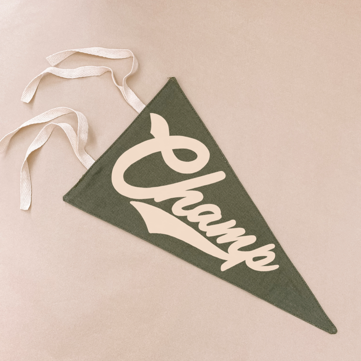 Champ pennant flag. Kids tie up pennant. Vintage sports wall flag. Boys wall hanging. Boys sports bedroom decor. Kids college sports wall flag. Kids rental friendly decor. Boys bedroom inspo. Playroom wall banner. Sports room styling. Kids bedroom decor ideas. Court side inspired decor.