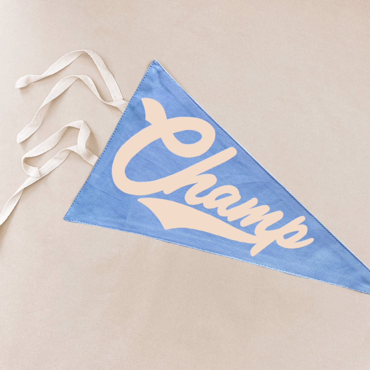 Champ pennant flag. Kids tie up pennant. Vintage sports wall flag. Boys wall hanging. Boys sports bedroom decor. Kids college sports wall flag. Kids rental friendly decor. Boys bedroom inspo. Playroom wall banner. Sports room styling. Kids bedroom decor ideas. Court side inspired decor.