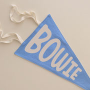 custom pennant flag. custom pennant. name pennant flag. custom wall flag. custom bedroom banner. custom playroom banner. custom playroom wall flag. personalised wall banner. personalised wall flag. personalised bedroom banner. personalised playroom banner. custom kids wall hanging. monogrammed kids wall flag.