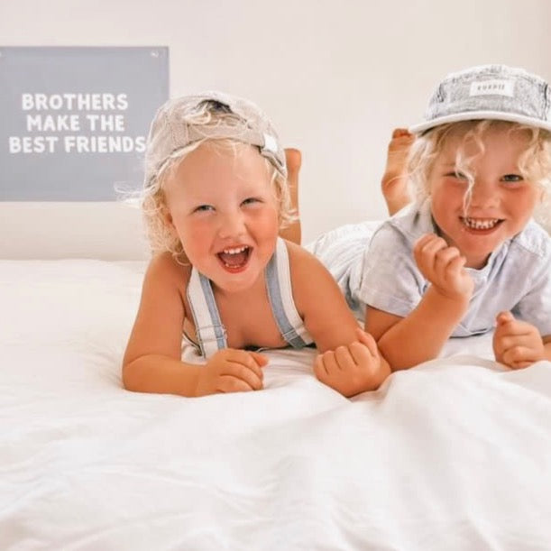 Brothers make the best friends boys wall banner / wall hanging ~ Sky