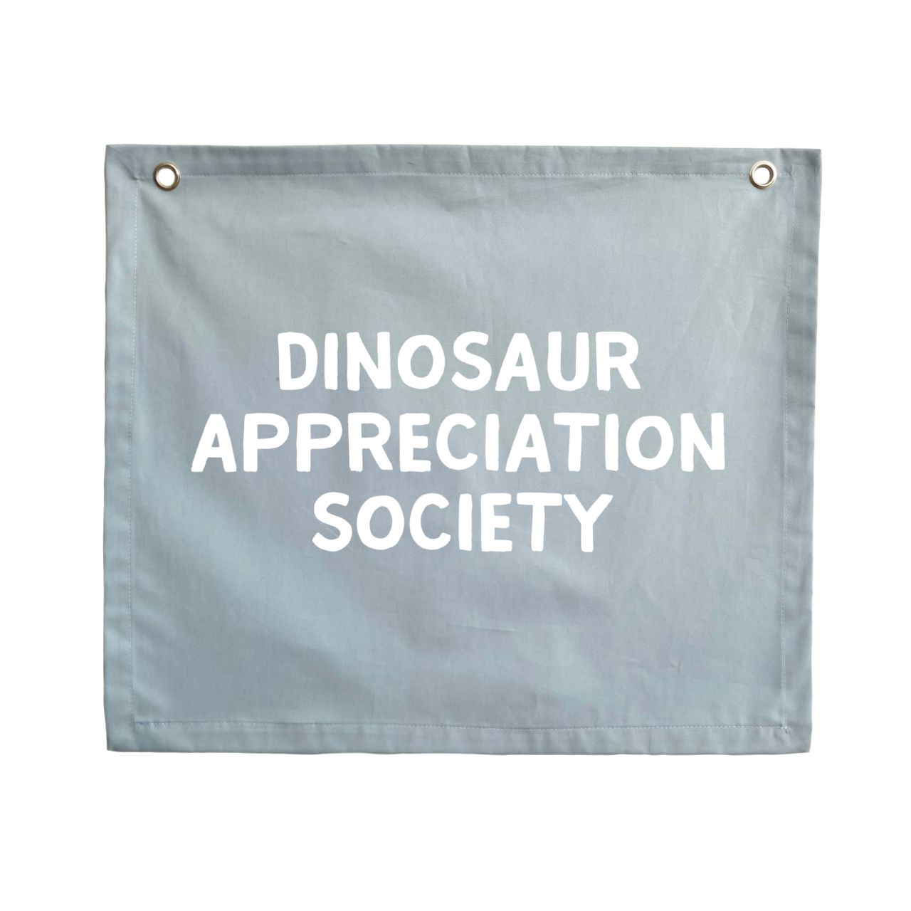 Dinosaur appreciation society wall banner ~ Sky